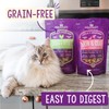 Stella & Chewy's – Stella’s Solutions Digestive Boost – Cage-Free