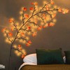 Fall Garland with Lights Plug in Maple Leaves Garland Fall