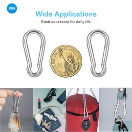LOTSUN 10 PCS Stainless Steel Carabiner Clip Spring-Snap Hook - Lotsun M4 1.57 Inch Heavy Duty Carabiner Clips for Keys Swing Set Camping Fishing Hiking Traveling