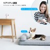 ieGeek 2023 Model 3 Megapixel Indoor Security Pet Camera, Automatic
