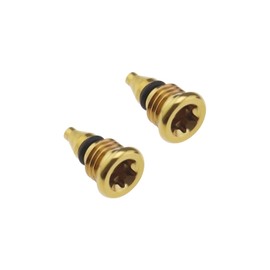 LT Easiyl 2Pcs Bicycle Bleed Screws for Lever Reservoir T25 Compatible with Magura EBT Bike Titanium Alloy Bolts Bicycle Fuel Tank Oil Filling Hole Screw Gold