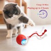 blueypet Upgraded 2025 Smart Interactive Electric Cat Toy Ball Indoor