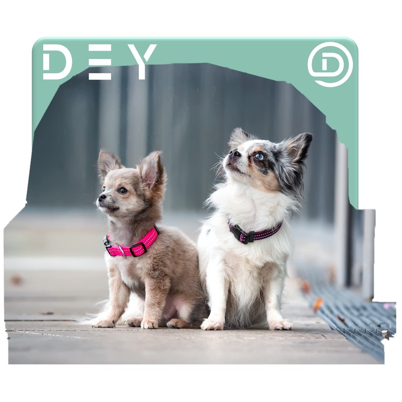 DEY - Premium Nylon Dog Collar, Reflective, Adjustable, for Small