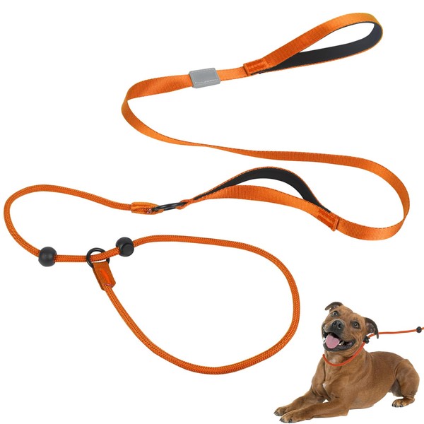 Slip Lead for Dogs, Dog Slip Collar Anti-Choking, Double Handle