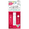 Kisme L21 Liquid Lip Shield