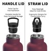 Grsta Stainless Steel Drinking Bottle, 500 ml, Drinking Bottle with