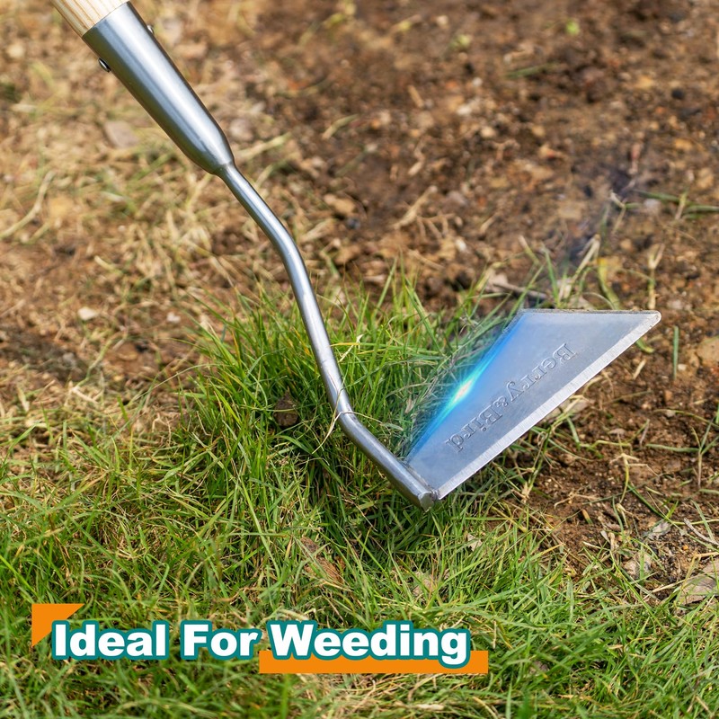 Berry&Bird Swoe Garden Hoe, 61.8'' Stainless Steel Long Handled 3