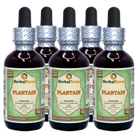 Plantain (Plantago major) Glycerite, Organic Dried Leaves Alcohol-FREE Liquid Extract (Brand name: HerbalTerra, Proudly made in USA) 5x2 fl.oz (5x60 ml)