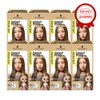 Freshlight hair dye milky type hair dye 8 pcs /