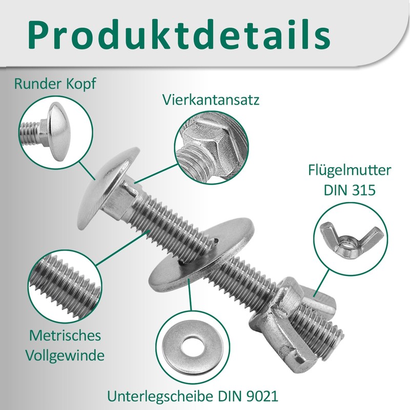 DSM – Schlossschrauben M6 x 20 mm nach DIN 603