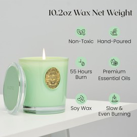 M&SENSE Natural Soy Candle| Verbena Basil Green | 10.2 oz, 55H Burn | Luxury Scented Candle for Relaxation, Gifting, Home Décor | for Bedroom, Office, Party