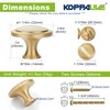 KOPPALIVE 5-Pack Solid Brass Cabinet Knobs, Round Gold Knobs for