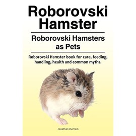 Roborovski Hamster. Roborovski Hamsters as Pets. Roborovski Hamster book for care, feeding, handling, health and common myths.