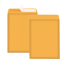 Packpal Manilla Envelopes 6x9 100Pack Brown Catalog Envelopes Self Sealling for Mailing