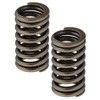 Metabo 882913M Head Valve Spring Replacement Part - 2 Pack,