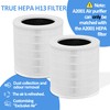 A2001 HEPA Air Purifier Replacement Filter, 3-in-1 H13 True HEPA