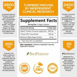 Turmeric Curcumin 180caps Con Bioperina 2600mg. Hecho En E.u