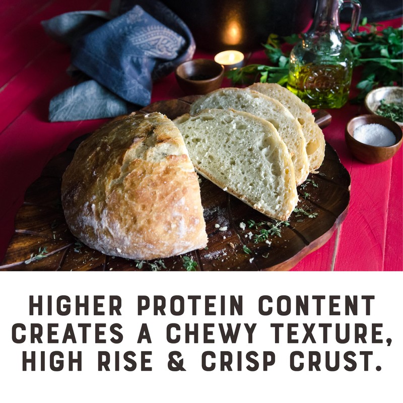 Bob's Red Mill Artisan Bread Flour, 5lb (Pack of 8)