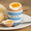 Blue & White Egg Cup Pails Set 4