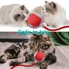 Interactive Cat Dog Toy Ball: Indoor Automatic Moving Smart Rolling