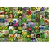 Adult Puzzle 1000 Pieces - 99 Herbs and Spices