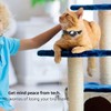 LZXLXS Airtag Cat Collar Reflective Adjustable Cat GPS Tracker Collar