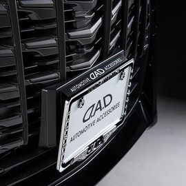 Stylish License Plate Stay BK/WH [HA688]