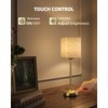 Cordless Table Lamp, 8000mAh, Dimmable, Ambient Light, 2700K, Touch Control,