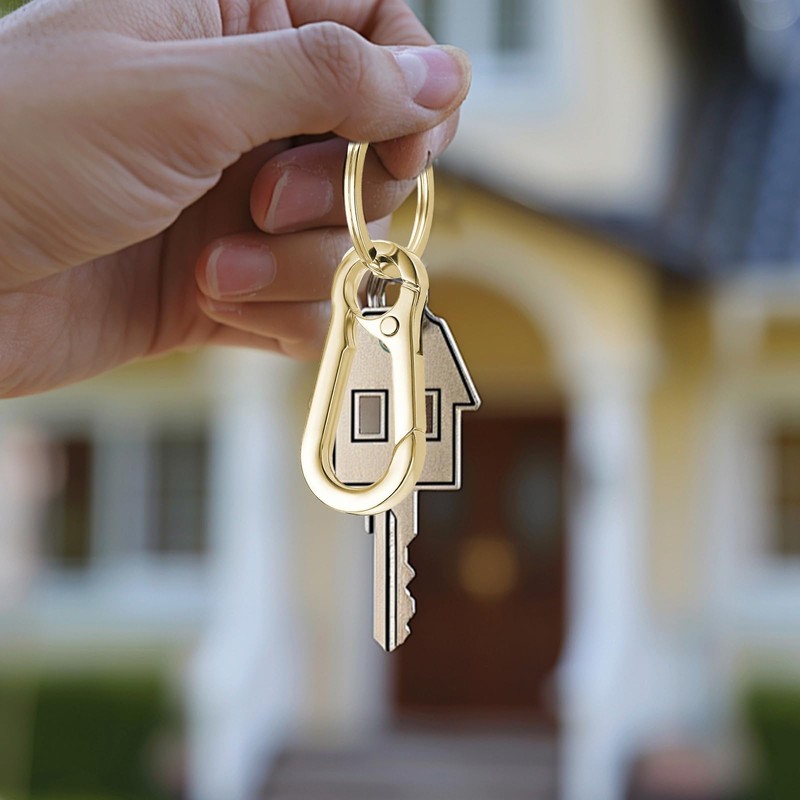 Keyring Key Chain Rings,Key Organizer Key Chain Hooks Metal Key