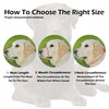 OOPSDOGGY Labrador Dog Muzzle for Large Dogs - Leather Breathable