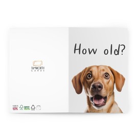 Funny Birthday Greeting Card for Dog Lovers - 'How Old?' Question with Cute Dog Image - Humorous Bday Celebration Card for Friends & Family