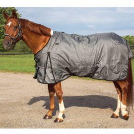 Arctic Shield Heavyweight Turnout Blanket (88)