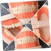 ULTECHNOVO Standard Teeth Supplies for Oral Education for Preschoolers to
