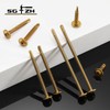 #8 x 2 Inch Sheet Metal Screws 250Pcs Bronze 410