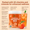 Vitalogix Naturals Natural Electrolyte Powder Mix – No Sugar, Low