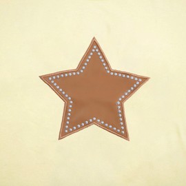 Cowgirl Western Shirts for Women Country Music Outfits Summer Vacation Short Sleeves Tops