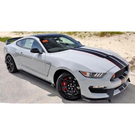 BASF Touch Up Paint for Ford vehicles with paint code DR, Avalanche Gray.