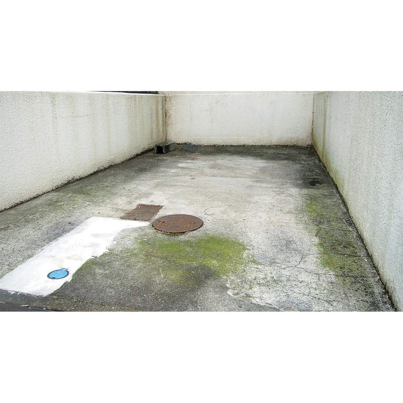 toyak moss mold remover 420ml