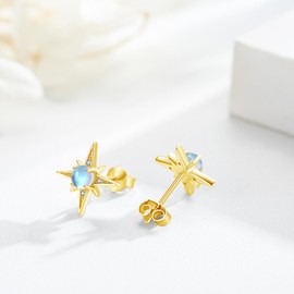 REDSUN Star Earrings 925 Sterling Silver Eight-Tone Star Earrings with Cubic Zirconia / Birthstone / Moonstone Star Jewellery Women Daughter Girls, Silver