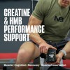 NutraBio Creatine + HMB- Creatine Monohydrate with HMB Powder for