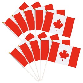 30 Pack Small Canada Flag, Handheld Canadian Flags with Plastic Sticks, Mini Canada Flag for Outdoor Parades, National Day Celebration Party Decorations, 5.5x 8.3inch/21 x 14 cm