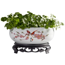 TOIVO Lotus Bowl Planter，White Ceramic Lotus Planter with Plastic Base 7.8”，Lotus Shape Hydroponic Water Lily Flower Pot