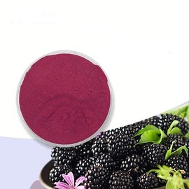 Korean Black Raspberry Extract Powder 100g Sample
