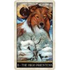 Wise Dog Tarot