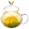 Blooming Tea Flowers - Pomegranate & Pineapple Flowering Teas –