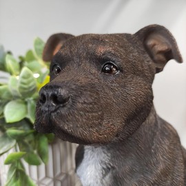 Vivid Arts - Staffordshire Terrier Brown - XRL-STF2-D