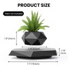 Leekimid Levitating Plant Pot, Magnetic Levitation Flower Pot Suspension Floating