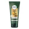 Acondicionador sin sal Herbal Essences Nutre e Hidrata 250 ml