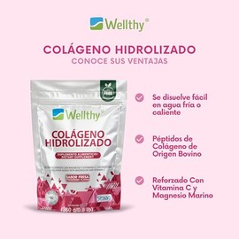 Wellthy Colágeno Hidrolizado Vitamina Magnesio Marino 360g Sabor Fresa Sugar Free Gluten Porciones Por Envase Bottle