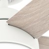 Hunter Fan 52 inch Casual White Indoor/Outdoor Ceiling Fan with
